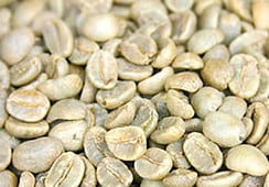 最良の生豆で、みなさんのカフェ・喫茶店のコーヒーの質を高めます