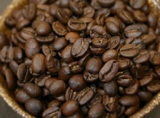 炭焼きグァテマラ　ボルサの通販は共和コーヒー